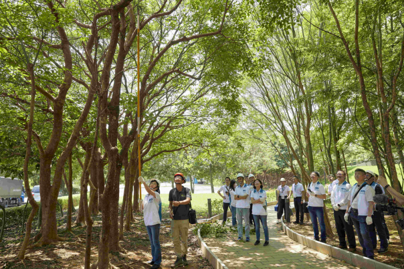 藝師教導大家認識樹木、檢查樹的健康狀況，學習修枝及碎枝覆土